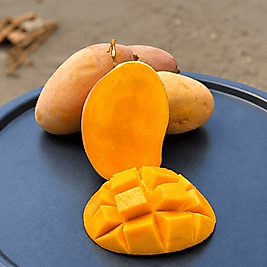 MANGO 1 ADET
