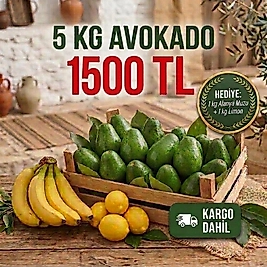 Avokado 5 Kg