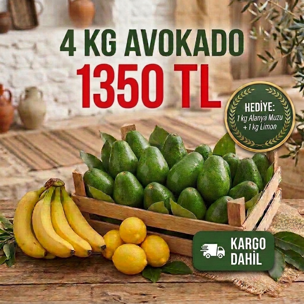 Avokado 4 Kg