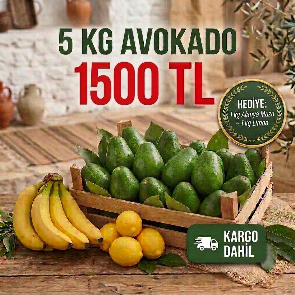 Avokado 5 Kg